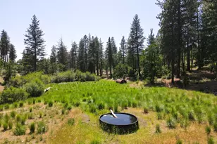 1056 Rock Creek Rd, Goldendale, WA 98620 - Photo 19