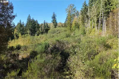 0 NE Jenny Creek Rd, La Center, WA 98629 - Photo 9