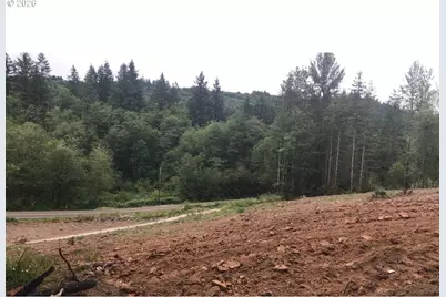 0 NE Jenny Creek Rd, La Center, WA 98629 - Photo 3