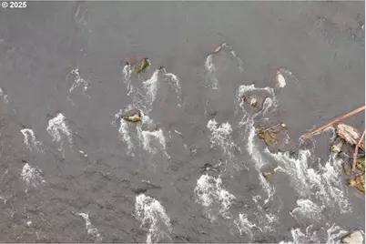 241 Dogwood Dr, Gates, OR 97346 - Photo 29