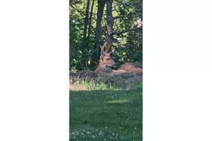 8623 Blackhawk Ct SE, Salem, OR 97317 - Photo 7