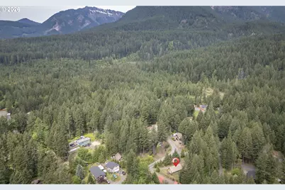 100 Aspen Ln, Packwood, WA 98361 - Photo 39