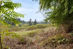 4305 NE 26th Ct, Vancouver, WA 98663 - Photo 47