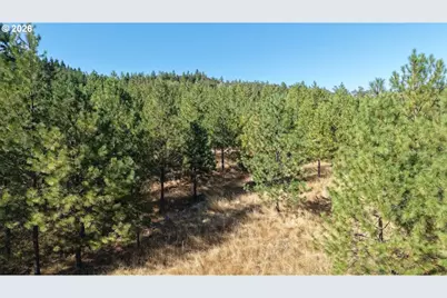 801 Colonial Rd, Roseburg, OR 97471 - Photo 17