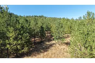 801 Colonial Rd, Roseburg, OR 97471 - Photo 17