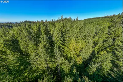 Grand Ave #700, Florence, OR 97439 - Photo 3