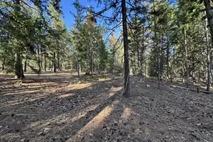 614 Northlake Dr, Goldendale, WA 98620 - Photo 43