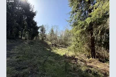 Cinnabar Lot 1, North Bend, OR 97459 - Photo 9