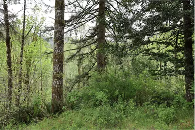 Sun Lake, Lakeside, OR 97449 - Photo 17