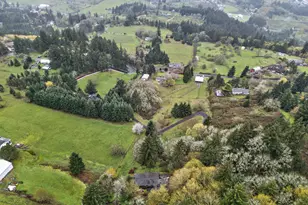 32895 NE Old Parrett Mountain Rd, Newberg, OR 97132 - Photo 41