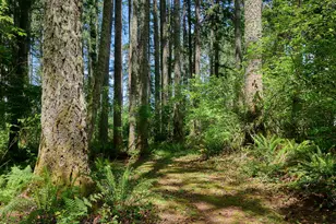 23456 S Schieffer Rd, Colton, OR 97017 - Photo 11
