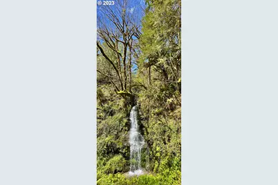 28593 Lower Smith River Rd, Reedsport, OR 97467 - Photo 43