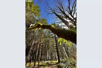 28593 Lower Smith River Rd, Reedsport, OR 97467 - Photo 45