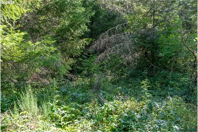 Hawk Meadows Rd #4, Carson, WA 98610 - Photo 9
