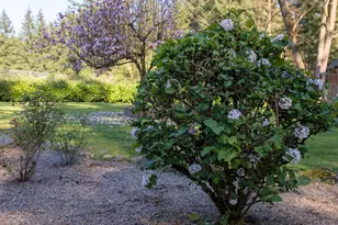 111 Laurel Ln, Washougal, WA 98671 - Photo 33