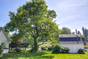 45871 Goodpasture Rd, Vida, OR 97488 - Photo 39