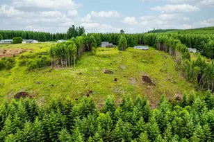 966 Lookout Rd, Castle Rock, WA 98611 - Photo 41
