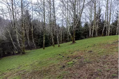 Aleolian Way, Neskowin, OR 97149 - Photo 15