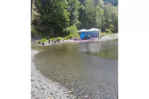 44688 Hwy 242, Myrtle Point, OR 97458 - Photo 41