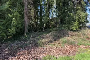 E 2nd To W 1st St, Rainier, OR 97048 - Photo 1