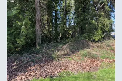 E 2nd To W 1st St, Rainier, OR 97048 - Photo 3