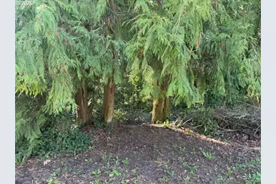 E 2nd To W 1st St, Rainier, OR 97048 - Photo 5