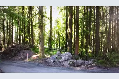 E John Lake Rd, Rhododendron, OR 97049 - Photo 1