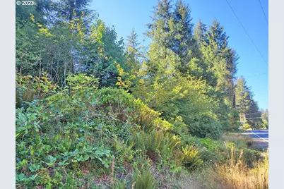Miami Foley #TL 800, Nehalem, OR 97131 - Photo 3