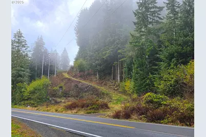 Miami Foley #TL 800, Nehalem, OR 97131 - Photo 1