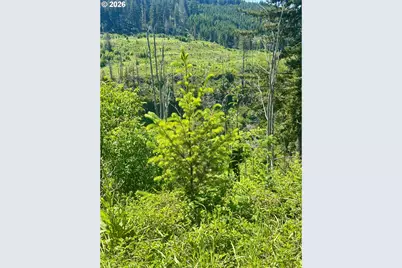 Crooked Finger Rd., Scotts Mills, OR 97375 - Photo 13