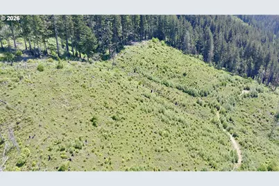 Crooked Finger Rd., Scotts Mills, OR 97375 - Photo 11
