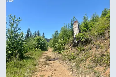 Crooked Finger Rd., Scotts Mills, OR 97375 - Photo 15