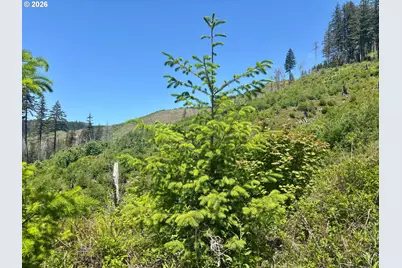 Crooked Finger Rd., Scotts Mills, OR 97375 - Photo 17