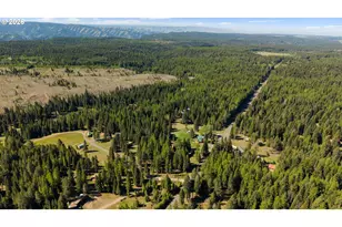 58830 Hwy 204, Weston, OR 97886 - Photo 7