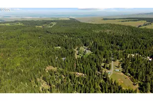 58830 Hwy 204, Weston, OR 97886 - Photo 5