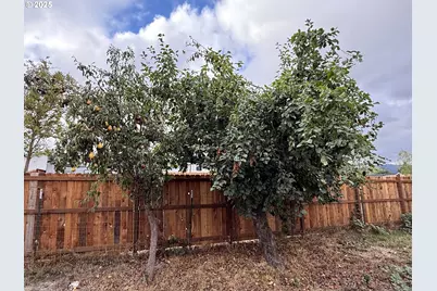 271 SE Robinson St, Winston, OR 97496 - Photo 11