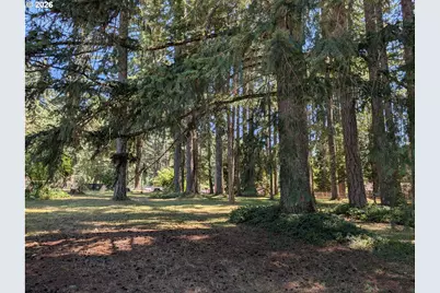 49241 Mountain View Rd, Oakridge, OR 97463 - Photo 13