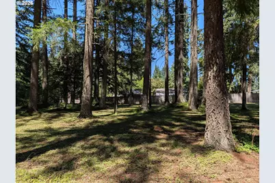 49241 Mountain View Rd, Oakridge, OR 97463 - Photo 7
