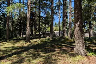 49241 Mountain View Rd, Oakridge, OR 97463 - Photo 7