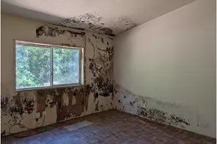 49241 Mountain View Rd, Oakridge, OR 97463 - Photo 25