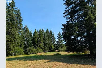 49241 Mountain View Rd, Oakridge, OR 97463 - Photo 9