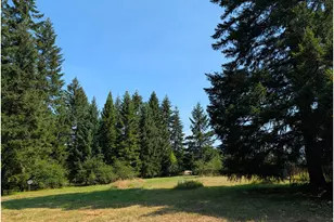 49241 Mountain View Rd, Oakridge, OR 97463 - Photo 9