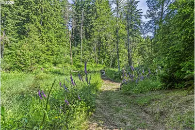 136 Longhorn Rd, Amboy, WA 98601 - Photo 29