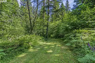 136 Longhorn Rd, Amboy, WA 98601 - Photo 31