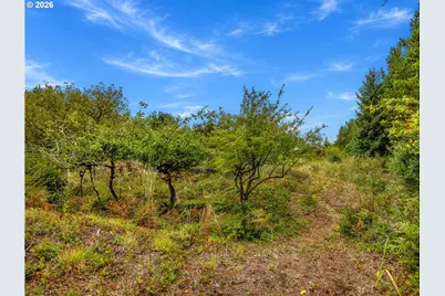 12905 N Alley, Long Beach, WA 98631 - Photo 29