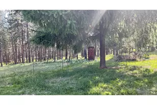 39798 Bear Gulch Rd, Sumpter, OR 97877 - Photo 21