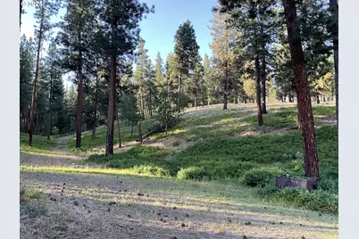 39798 Bear Gulch Rd, Sumpter, OR 97877 - Photo 19
