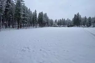 39798 Bear Gulch Rd, Sumpter, OR 97877 - Photo 45