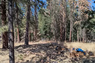 266 S Dea Rd, Tygh Valley, OR 97063 - Photo 7