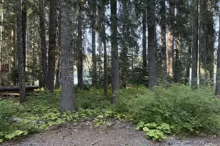 27428 W Odell Rd, Crescent Lake, OR 97733 - Photo 5